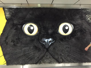 Illustration for article titled Tokyo's Giant Cat Billboard Is Big Enough to Pet